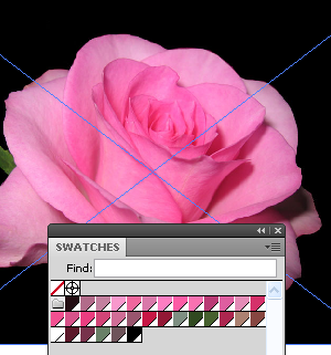 Creating a Color Group in the Illustrator Swatches Panel Based on an Image
