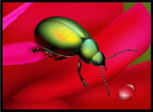 How to Create a Rainbow Beetle in Adobe Illustrator