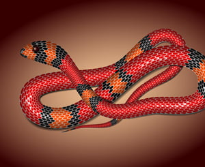 Adobe Illustrator Tutorial: How to Create a Vector Snake Using Mesh Tormentor