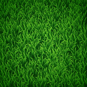 How to Create Vector Grass Background in Adobe Illustrator