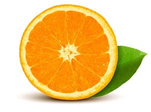 How to Create Quickly a Realistic Vector Orange in Adobe Illustrator