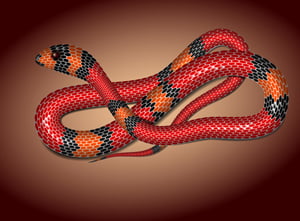 Tutorials in Vector Snake Creation, a Symbol of Year 2013