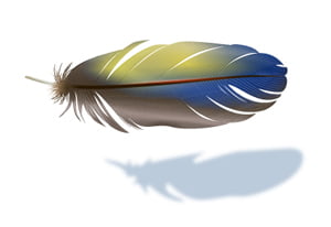 How to Create a Realistic Vector Feather Using Adobe Illustrator