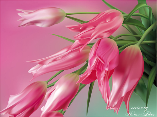 vector tulips