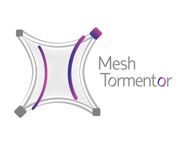 Design Contest - A Logo for Mesh Tormentor