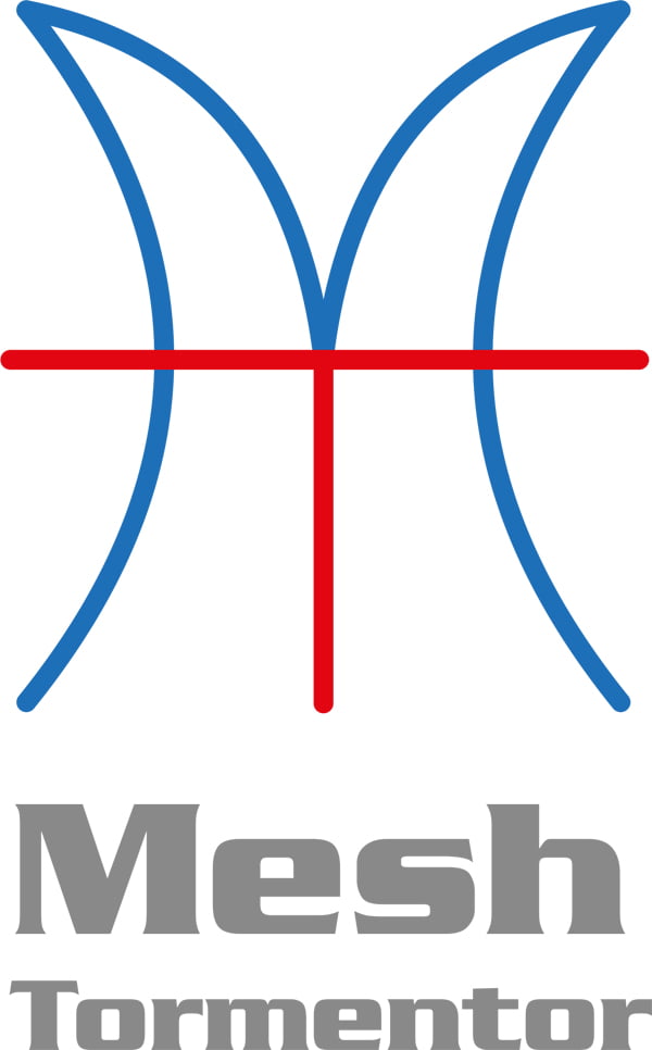 Design Contest - A Logo for Mesh Tormentor