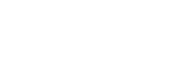 Vectorboom