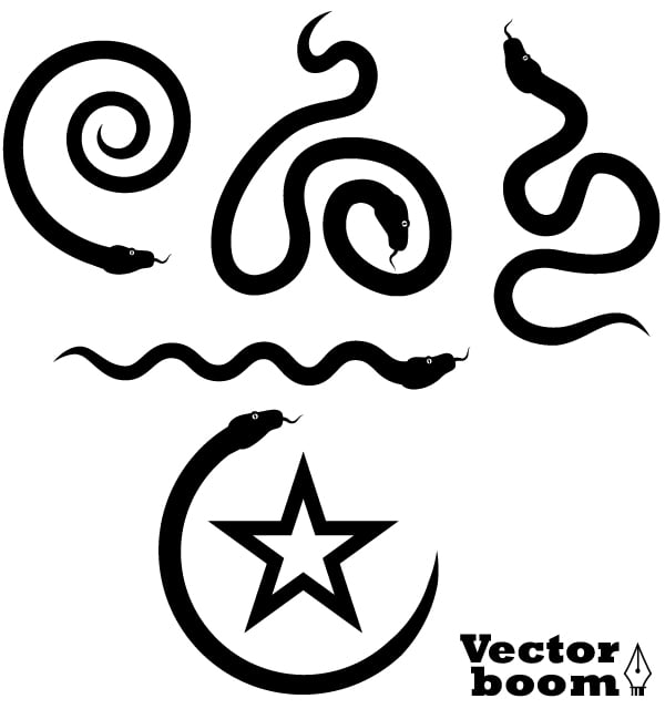 vector snake