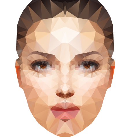 create polygonal portrait using Triangulator and MirrorMe