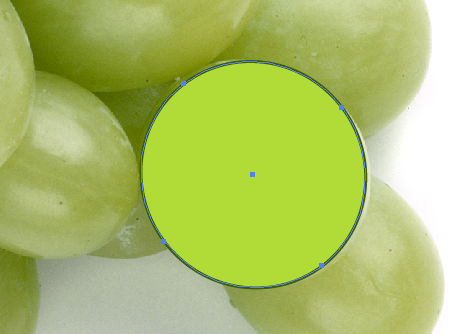 Create a vector illustration of engraving grapes with WidthScribe2