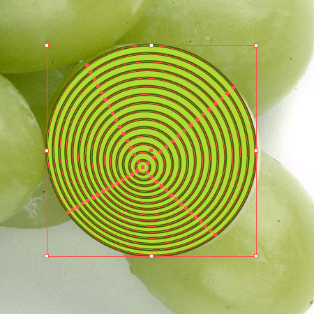 Create a vector illustration of engraving grapes with WidthScribe2