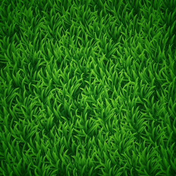 Vector Grass Background in Adobe Illustrator