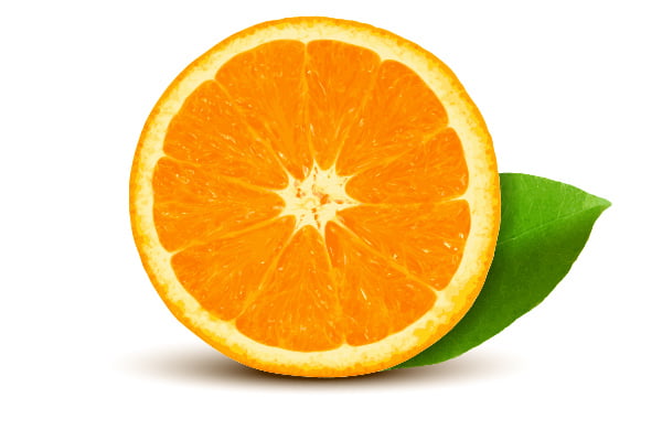 Realistic Vector Orange